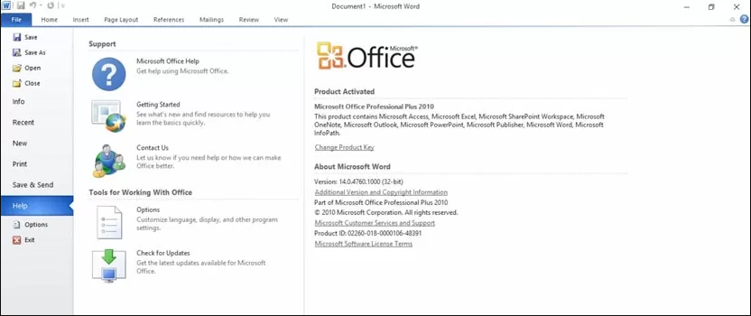 Microsoft Office 2010