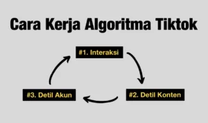 Cara Optimasi Akun TikTok Tahun 2023