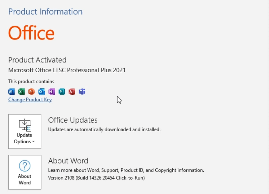 Tampilan Microsoft Office 2021 Pro Plus