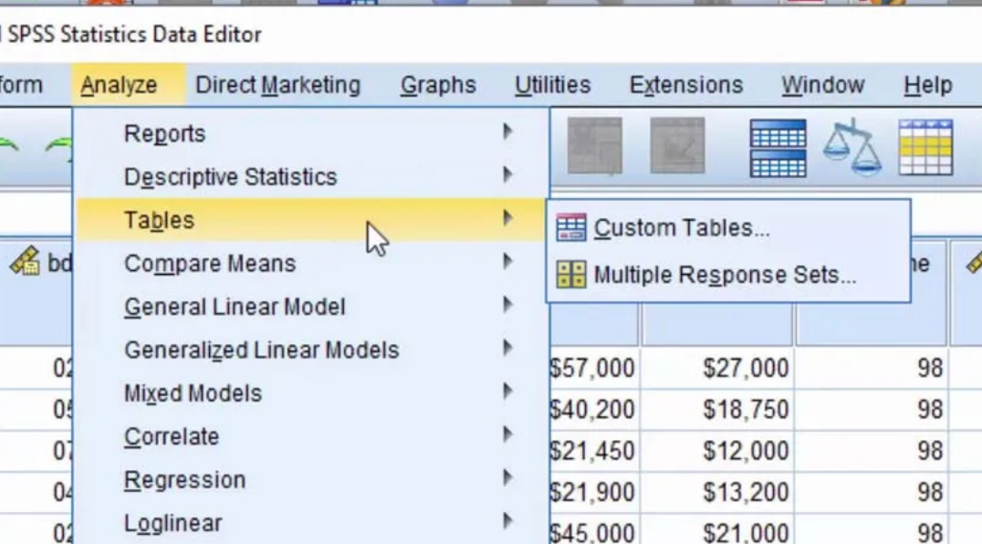 Download SPSS 24 Full Crack Version 