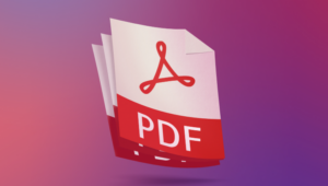PDF Reader